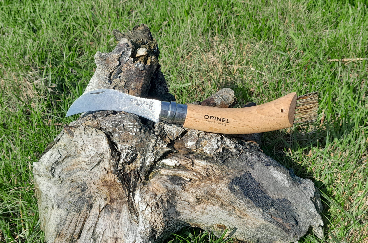 Opinel n°8 - Champignon - Inox - A personnaliser