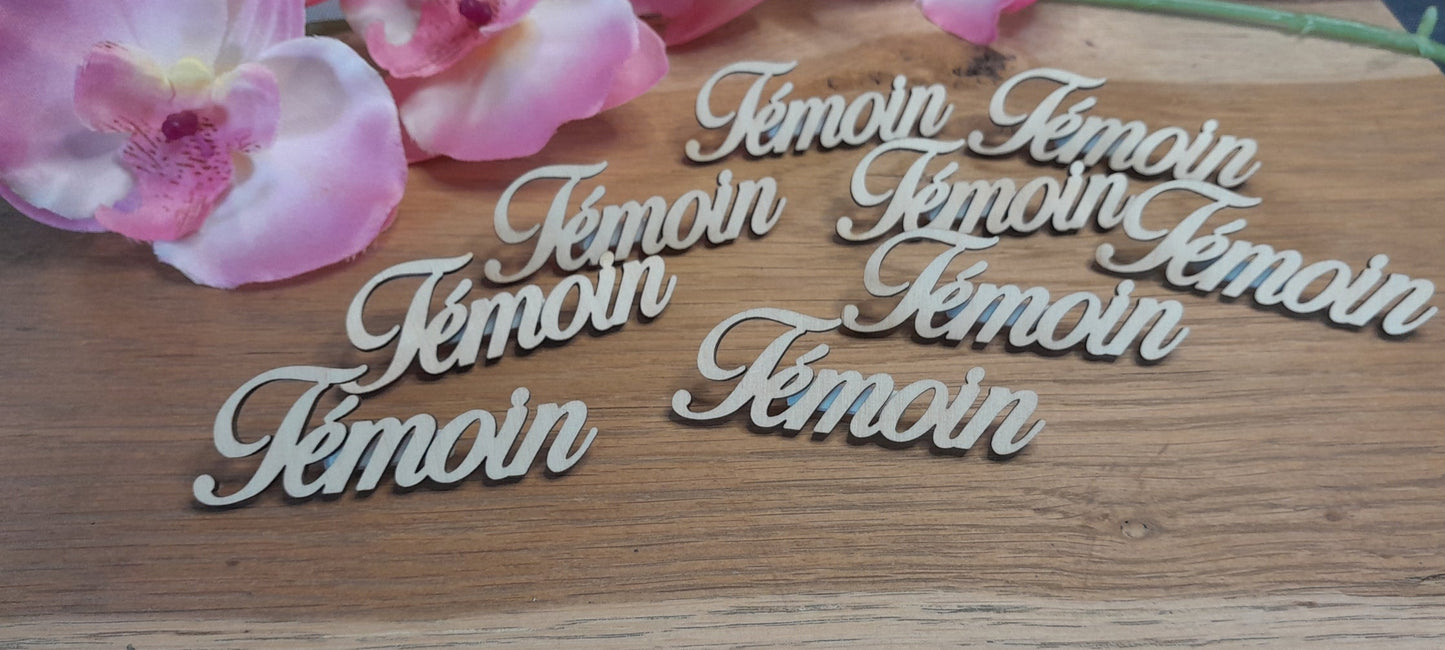 Broche "témoin"