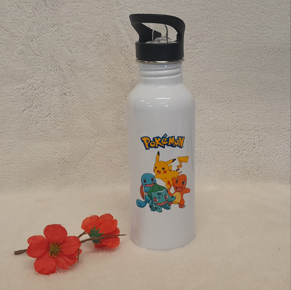 Gourde en acier inoxydable - Collerette