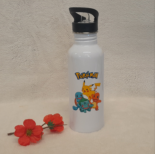 Gourde en acier inoxydable - Collerette